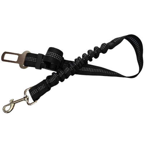 Cinturon de seguridad