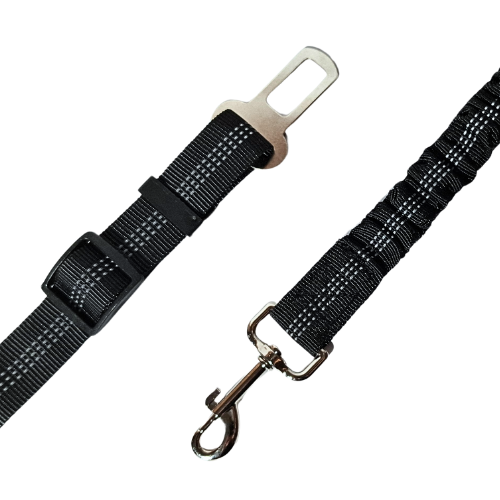 Cinturon de seguridad
