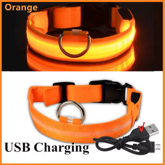 Colar luminoso naranja